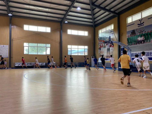 2020年度豐臺區(qū)青少年各項目運動隊暑期集訓(xùn)工作圓滿完成